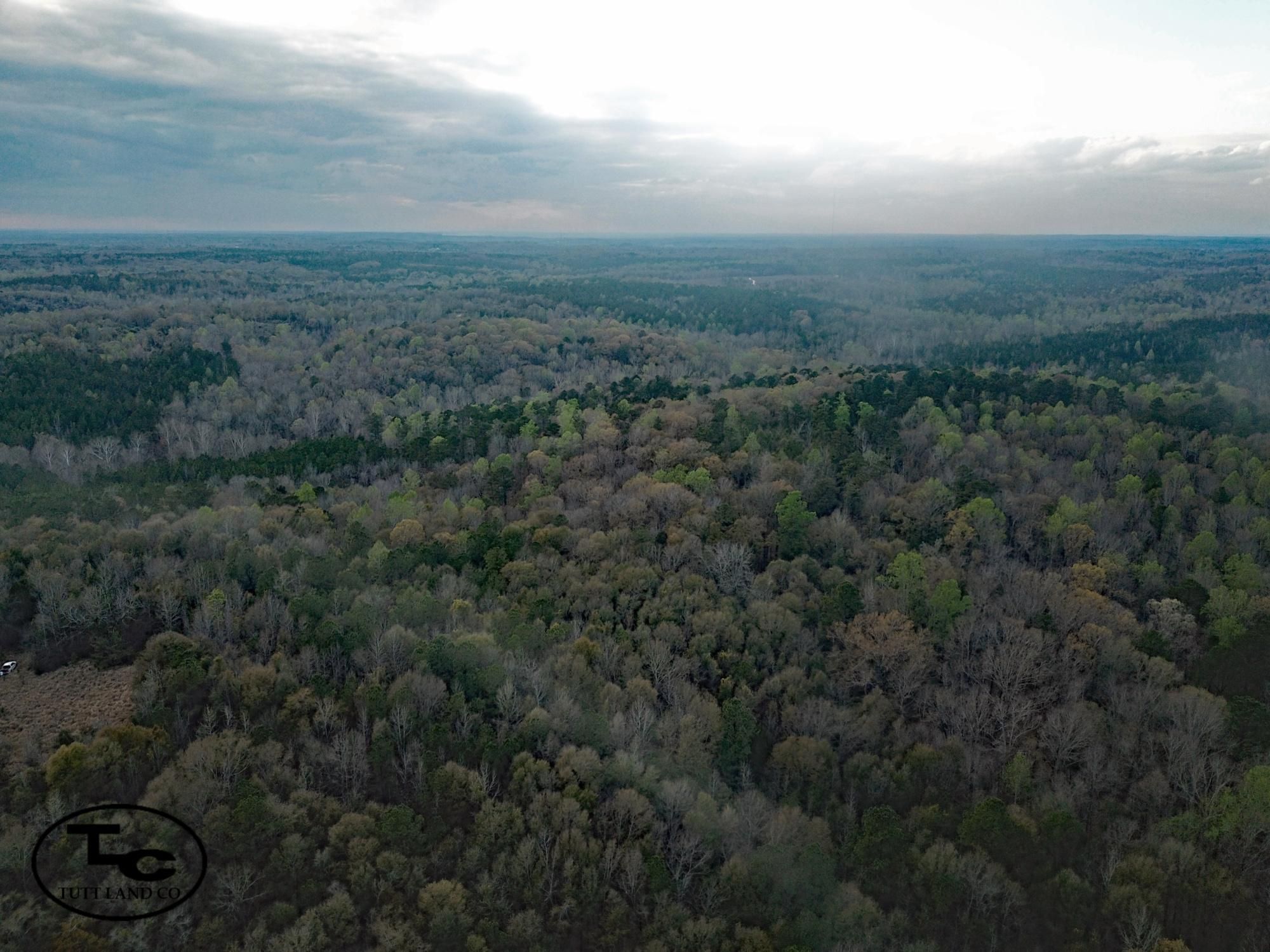 80 acres in Dixons Mills, AL, 36736 LandWatch