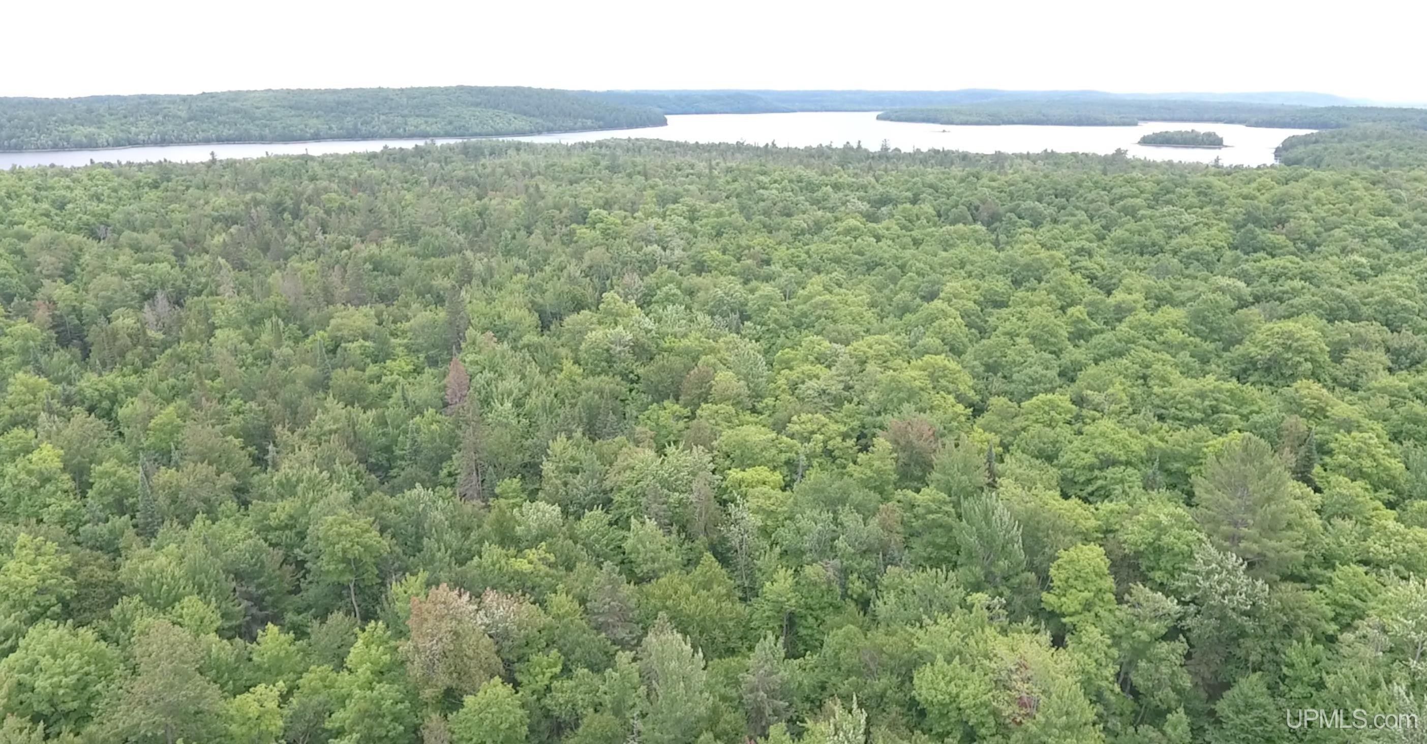 Champion, Marquette County, MI Undeveloped Land for sale Property ID