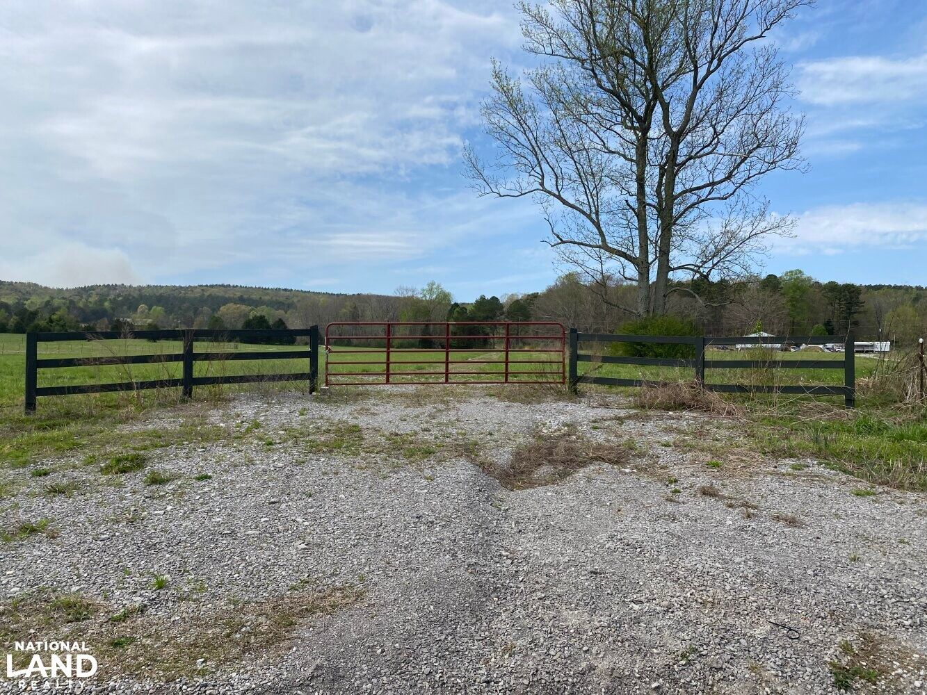 Danville, Lawrence County, AL Timberland Property, Undeveloped Land