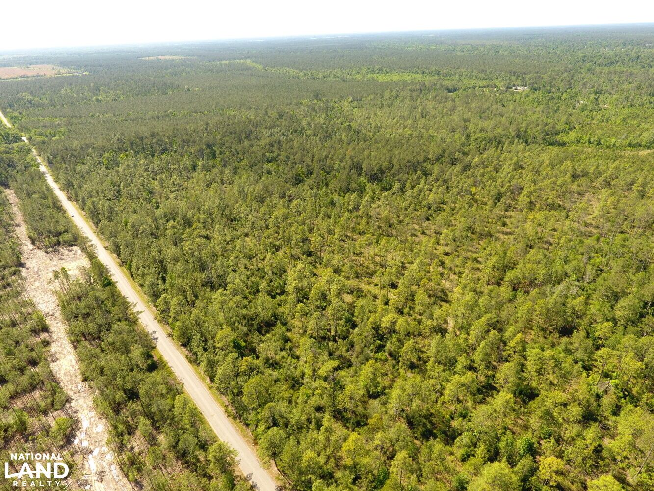 Ragley, Allen Parish, LA Recreational Property, Timberland Property for