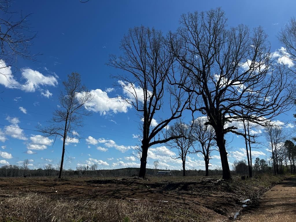 Coleman Rd, Thaxton, MS 38871 MLS 157735 LandWatch
