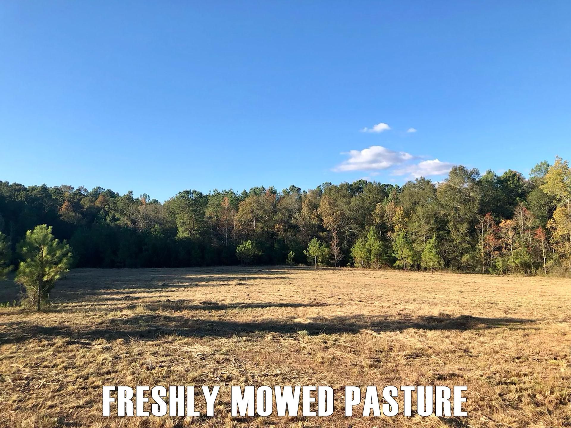 357 Crabapple Rd, Iota, LA 70543 LandWatch