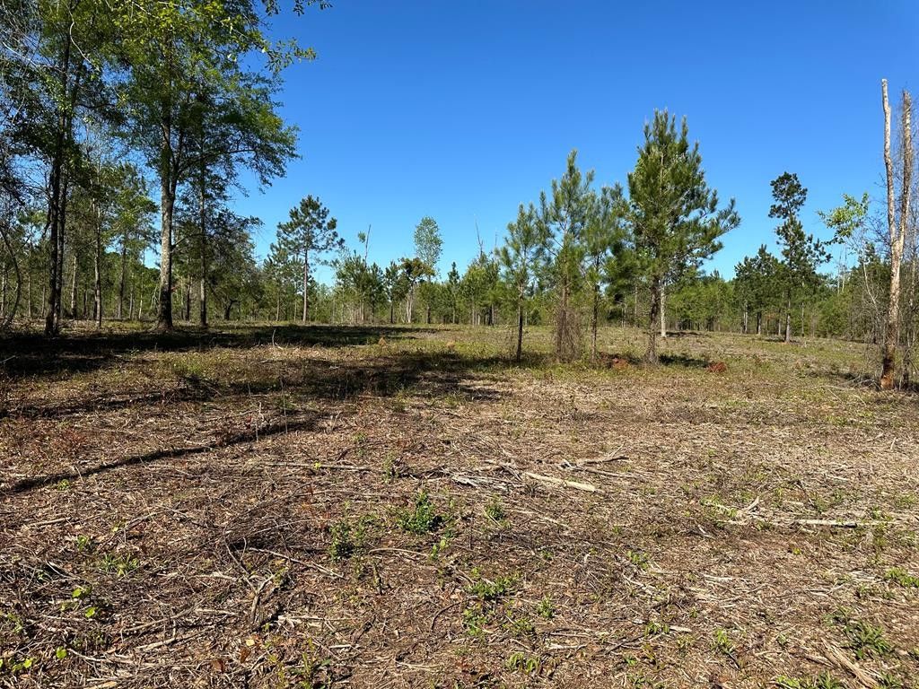 Thomasville, Thomas County, GA for sale Property ID 419297726 LandWatch