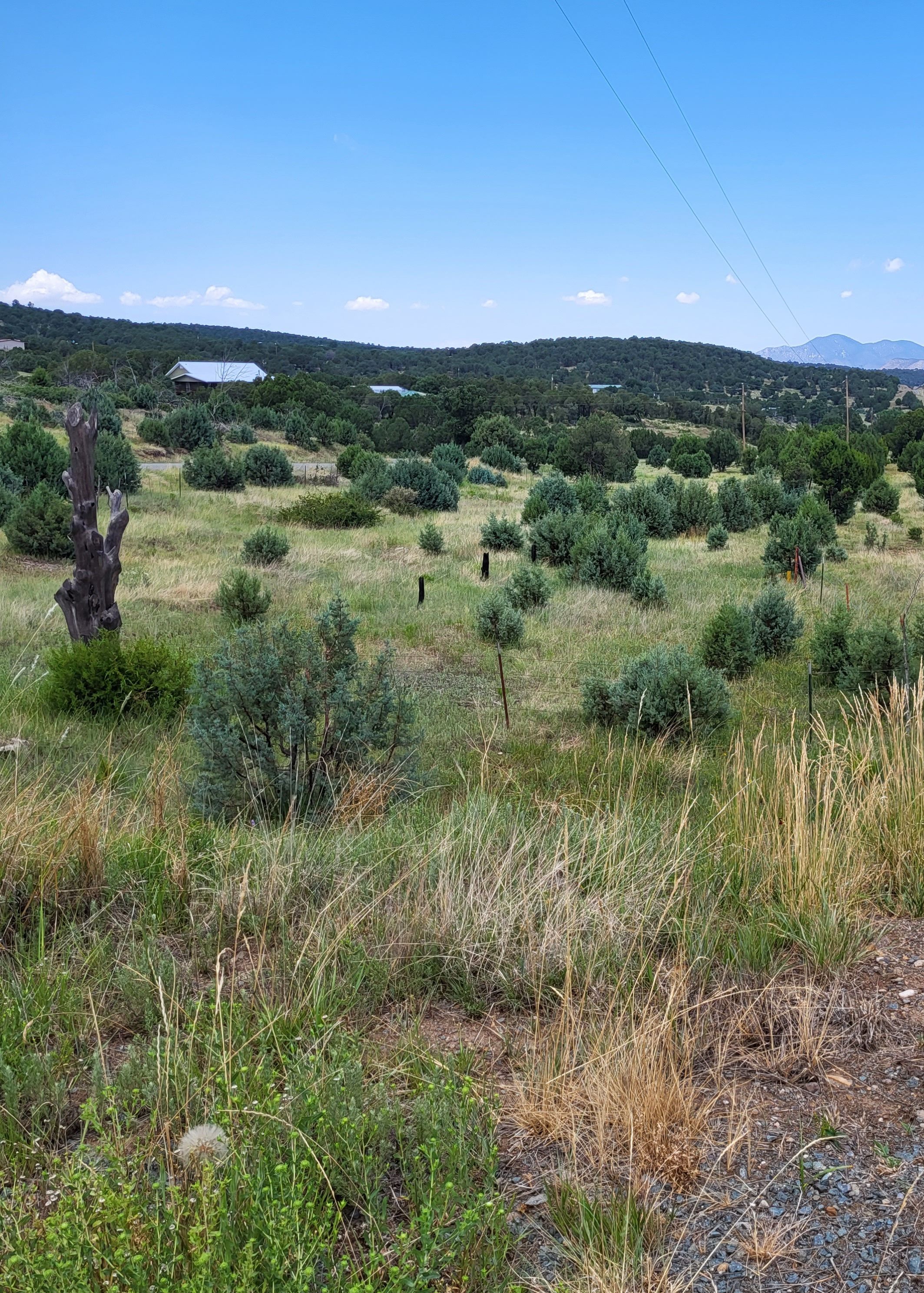 4 Wolf Creek Road, Nogal, NM 88341 MLS 129873 LandWatch