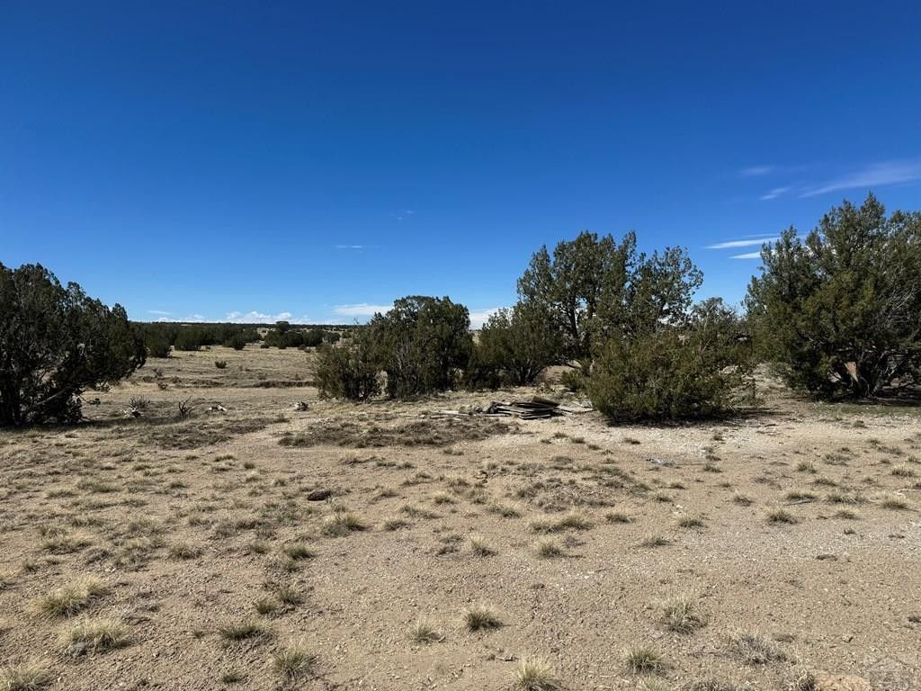 Model, Las Animas County, CO for sale Property ID 419302658 LandWatch