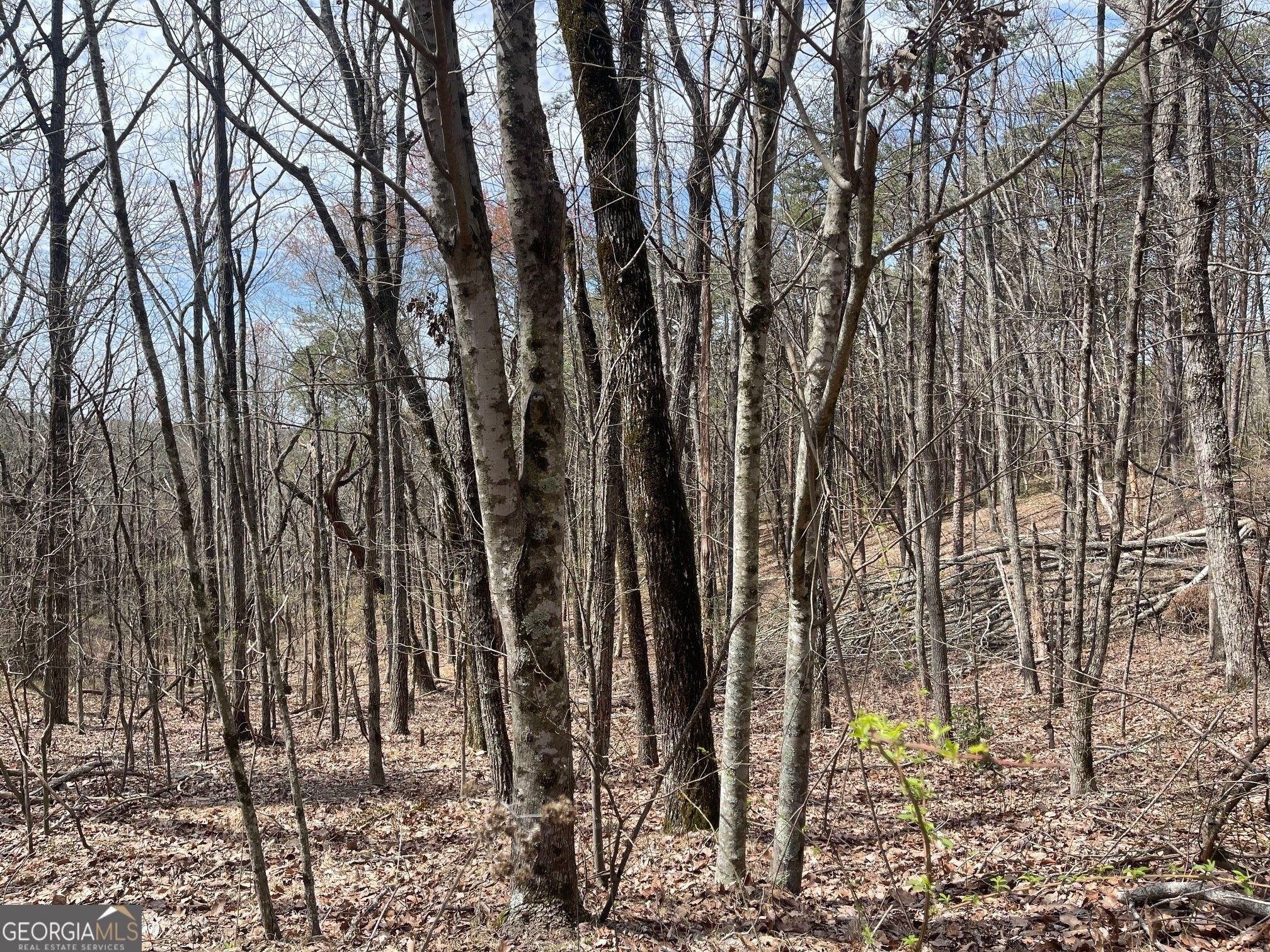 Jasper, Pickens County, GA Undeveloped Land, Homesites for sale