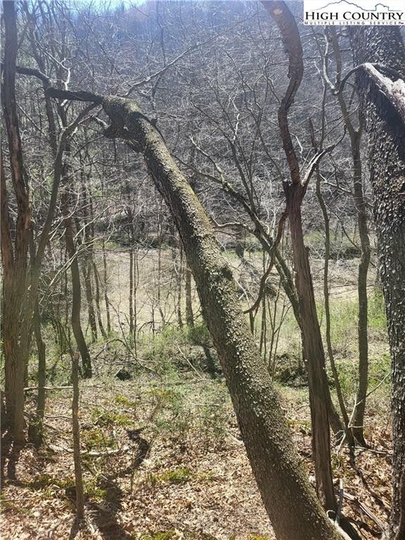 Fleetwood, Ashe County, NC Undeveloped Land, Homesites for sale