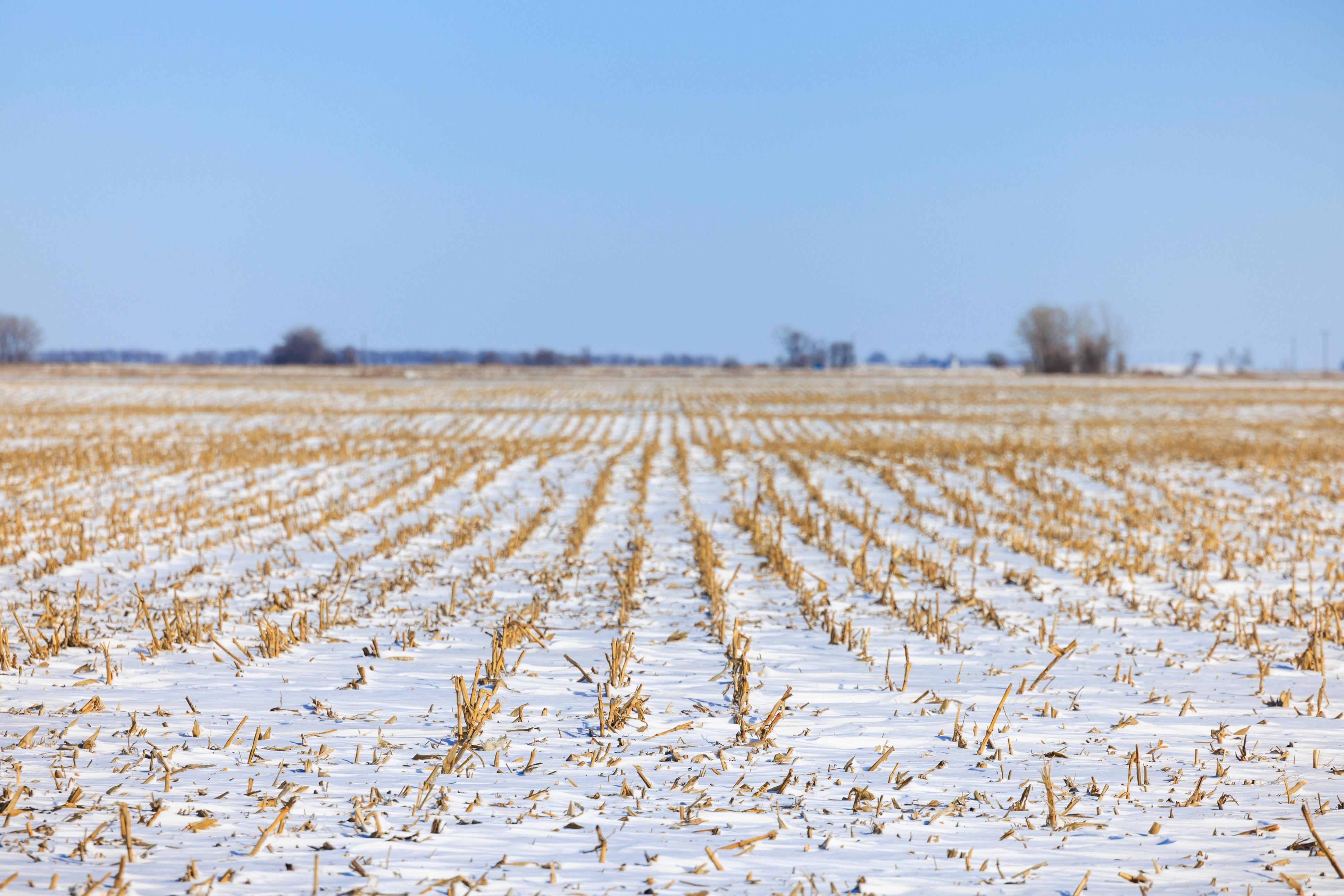 Fessenden, Wells County, ND Farms and Ranches, Hunting Property for
