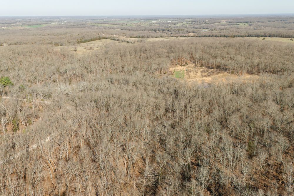000 Latimer Road, Long Lane, MO 65590 MLS Dallas 64.2 LandWatch