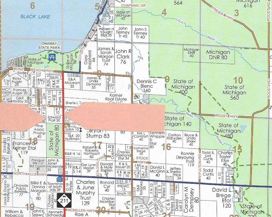 Onaway, Presque Isle County, MI Undeveloped Land for sale Property ID