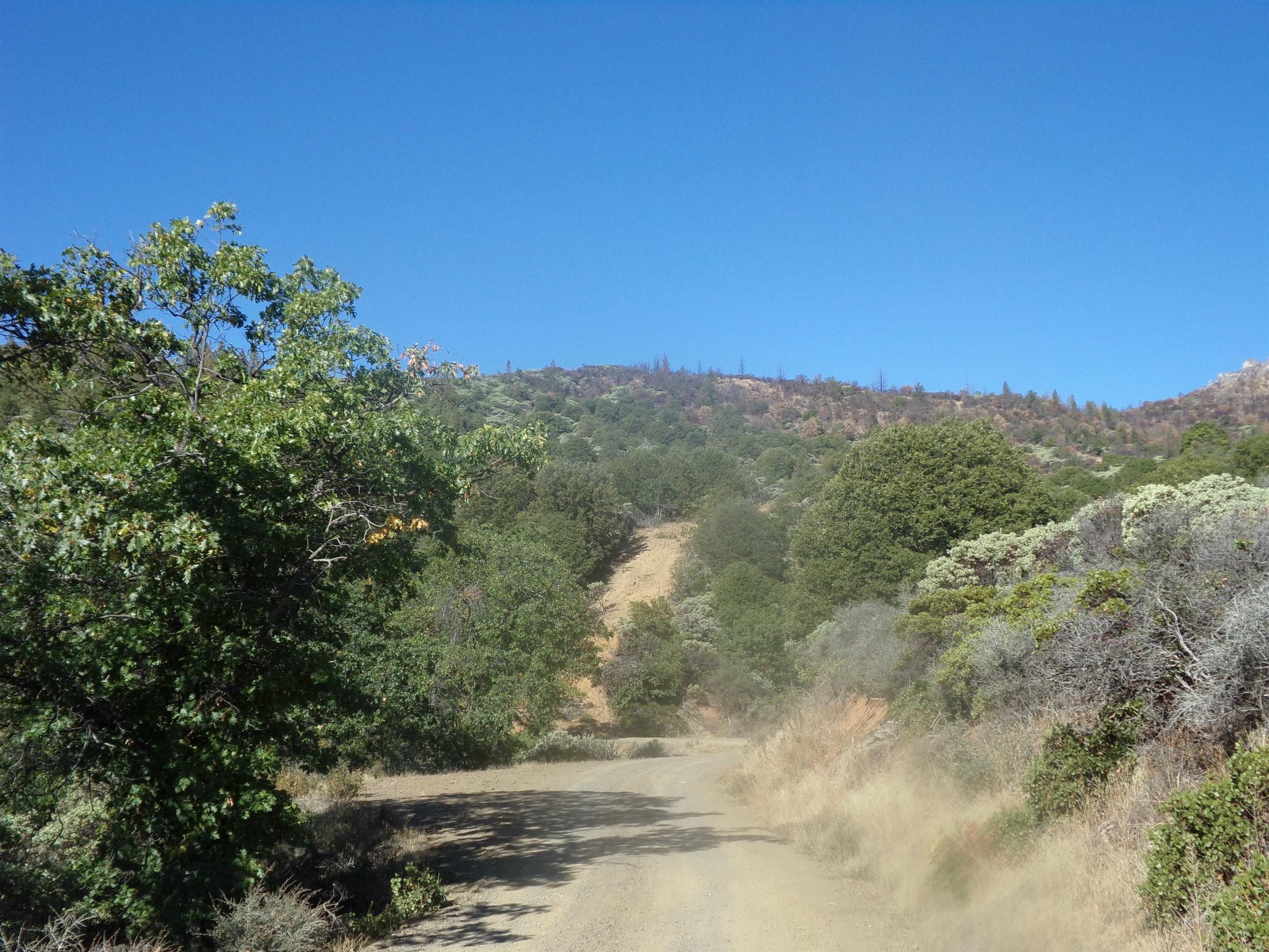 Yreka, Siskiyou County, CA Undeveloped Land for sale Property ID