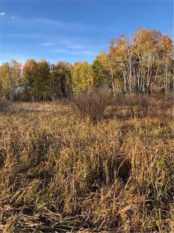 Palisade, Aitkin County, MN Undeveloped Land for sale Property ID