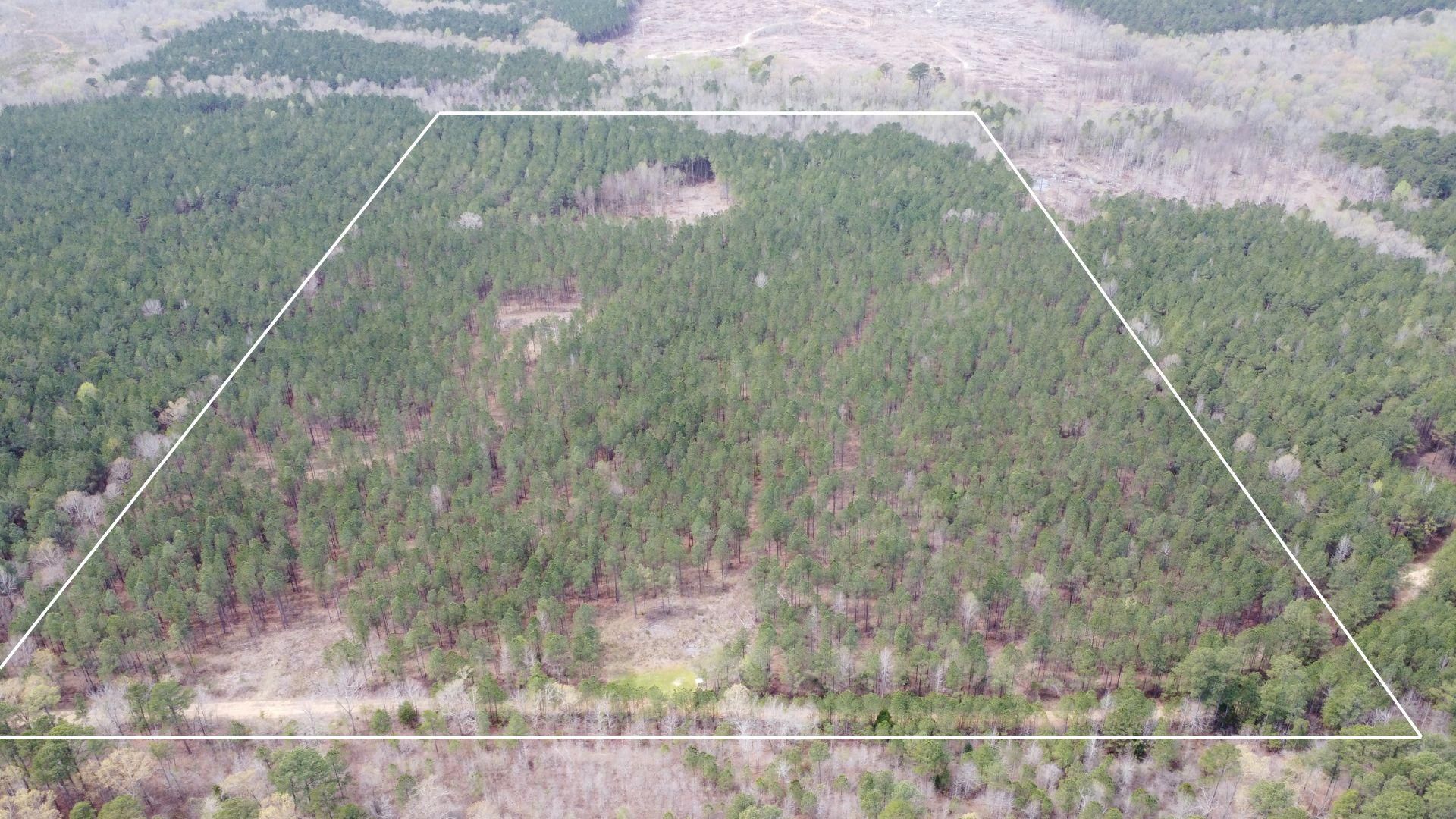 Reform, Choctaw County, MS Recreational Property, Timberland Property