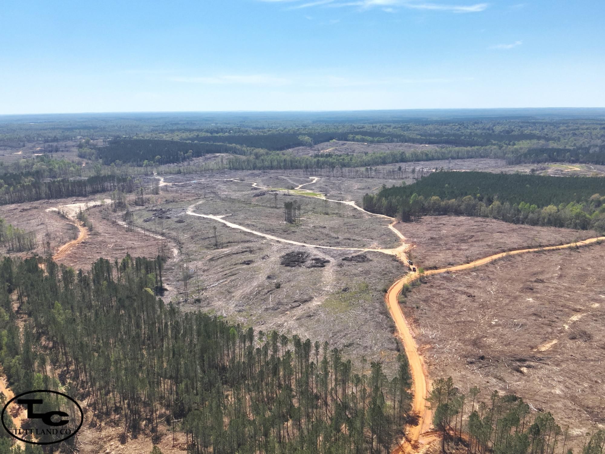 185 acres in Sawyerville, AL, 36776 LandWatch