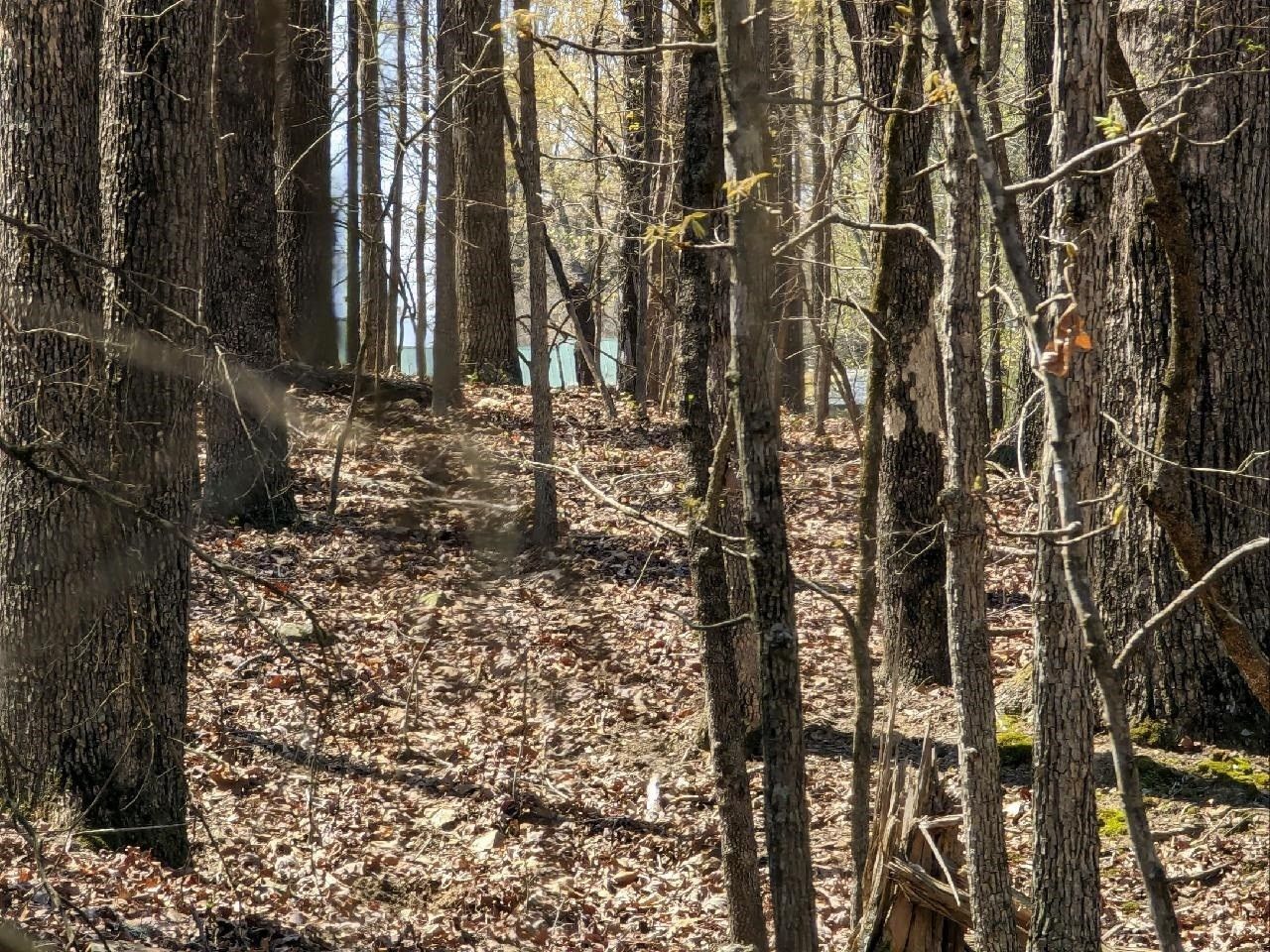 Cave City, Sharp County, AR Undeveloped Land, Homesites for sale