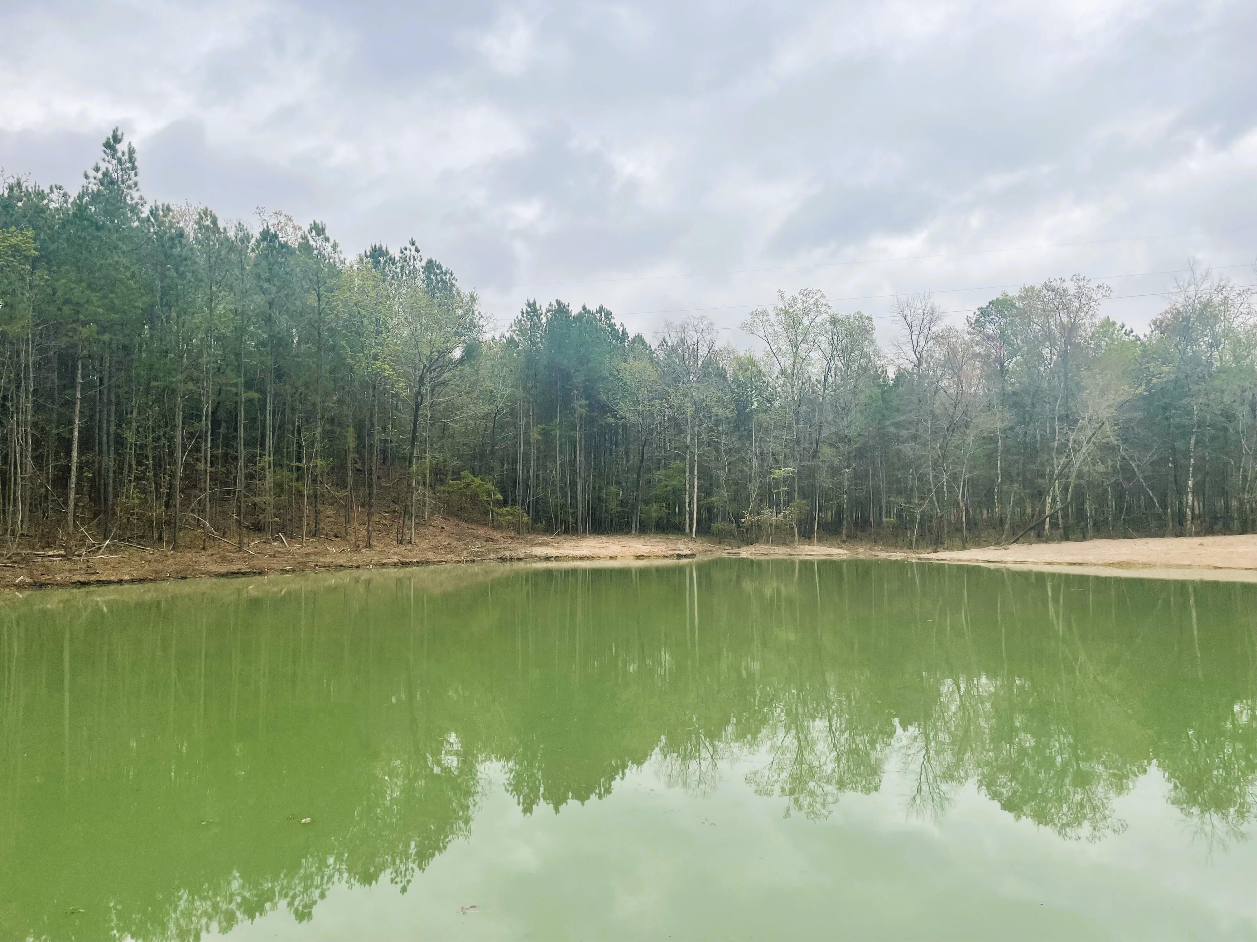 4233 Rock School Rd, Westover, AL 35078 LandWatch