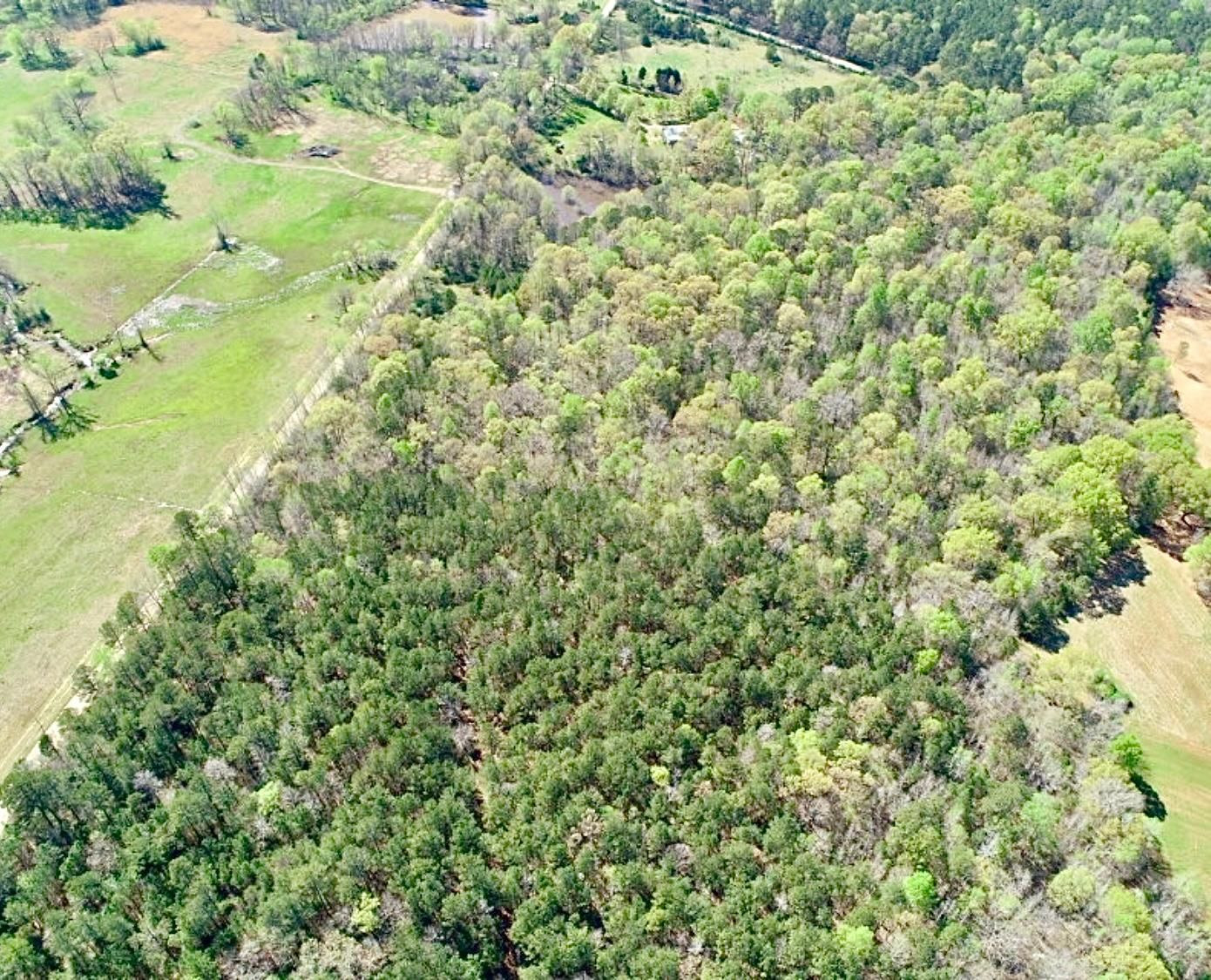 30 acres in Gray, GA, 31032 LandWatch