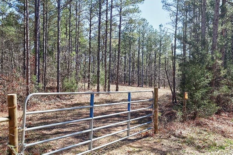 Bolivar, Hardeman County, TN Undeveloped Land for sale Property ID