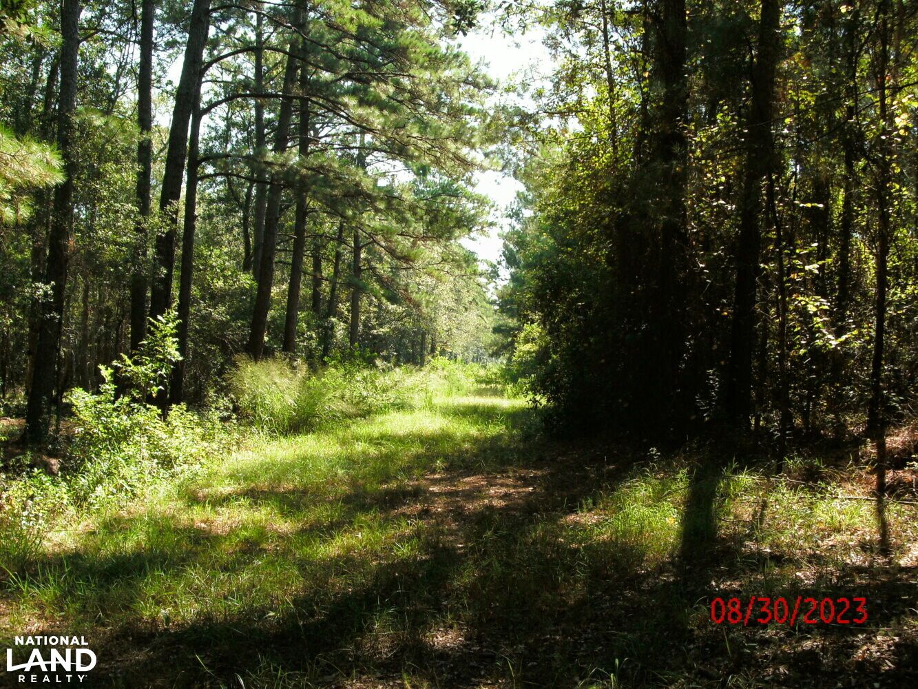 Abita Springs, Saint Tammany Parish, LA Timberland Property