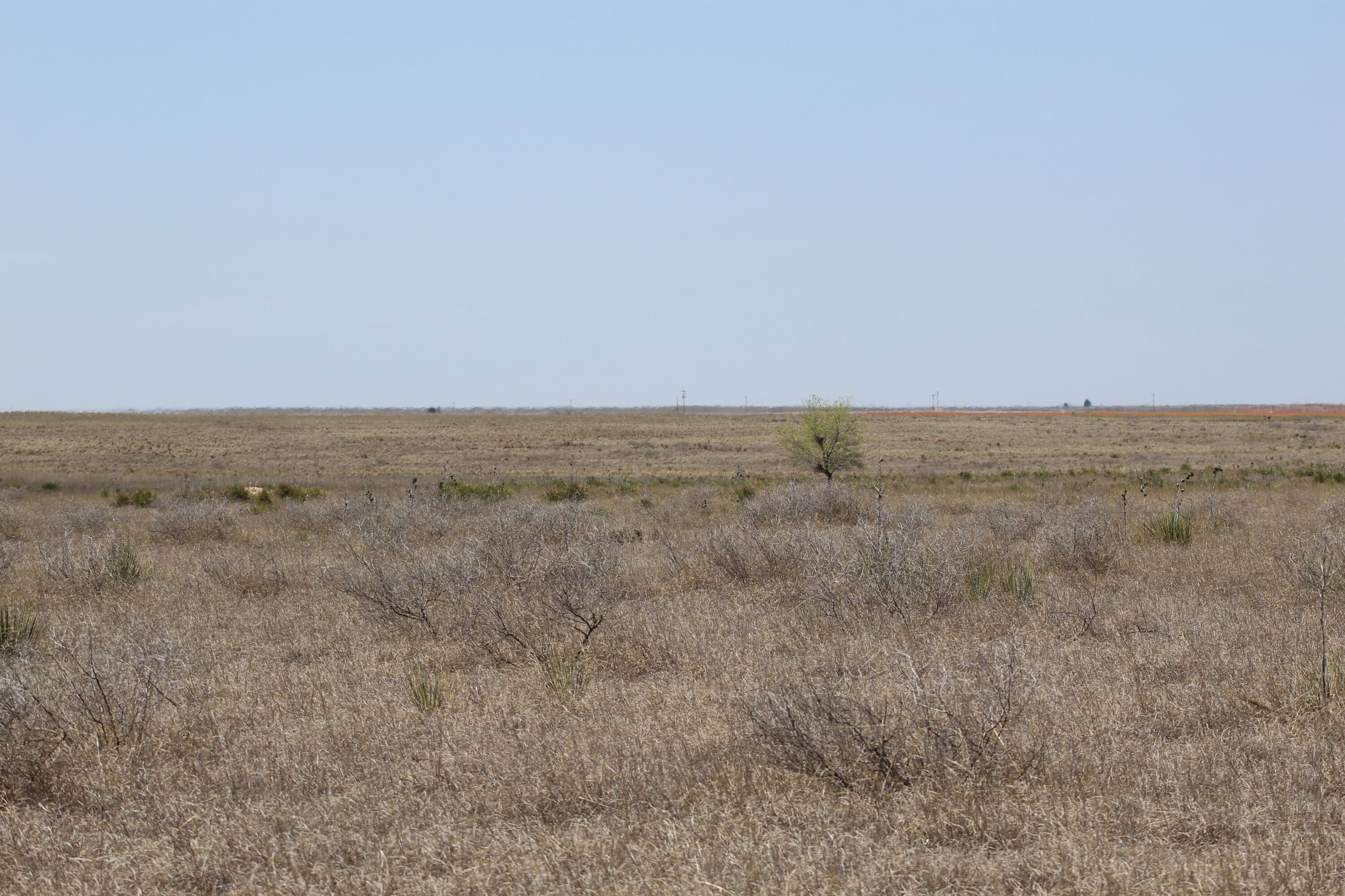 Farm to Market Highway 1169, Morton, TX 79346 MLS 2481 LandWatch