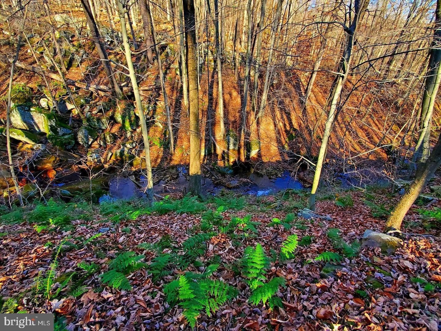 Swanton, Garrett County, MD Undeveloped Land for sale Property ID