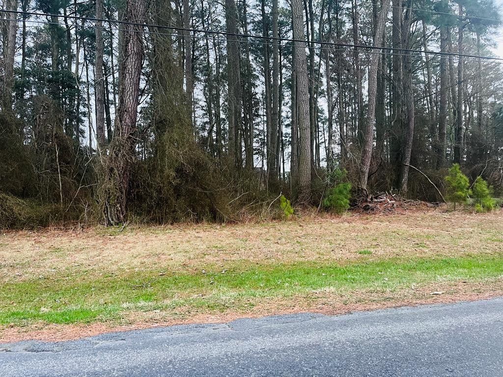 Greenbackville, County, VA Undeveloped Land, Homesites for