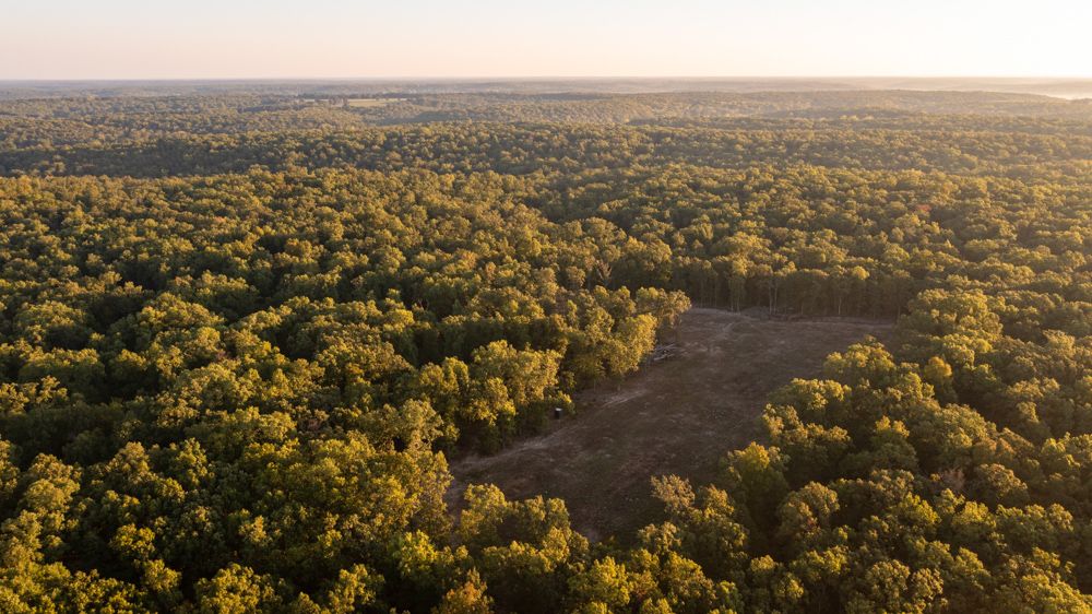 0000 SE 1151 Road, Collins, MO 64738 MLS Saint Clair 323 LandWatch