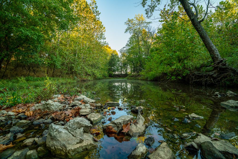 0000 SE 951 Road, Collins, MO 64738 MLS Saint Clair 207 LandWatch