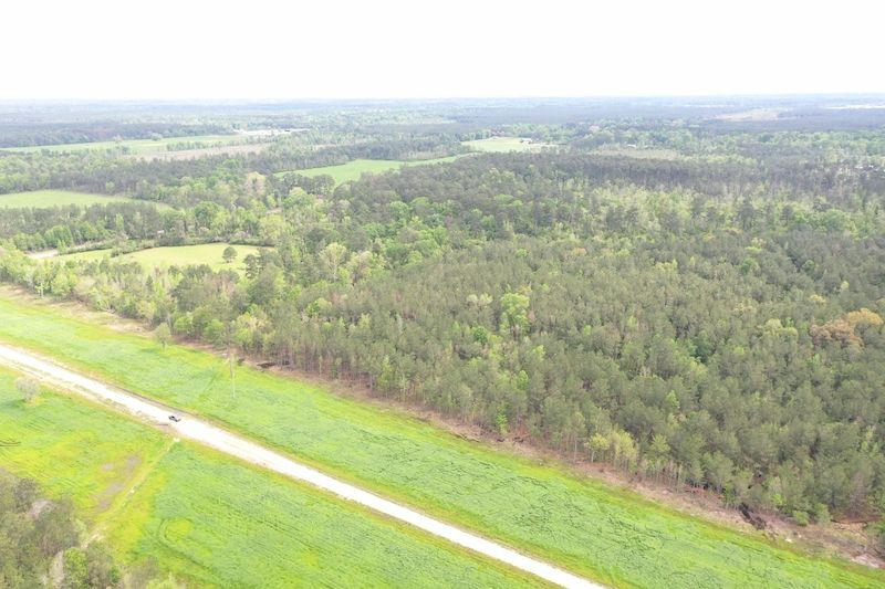 La Hwy 1063, LotWP001, Independence, LA 70462 LandWatch