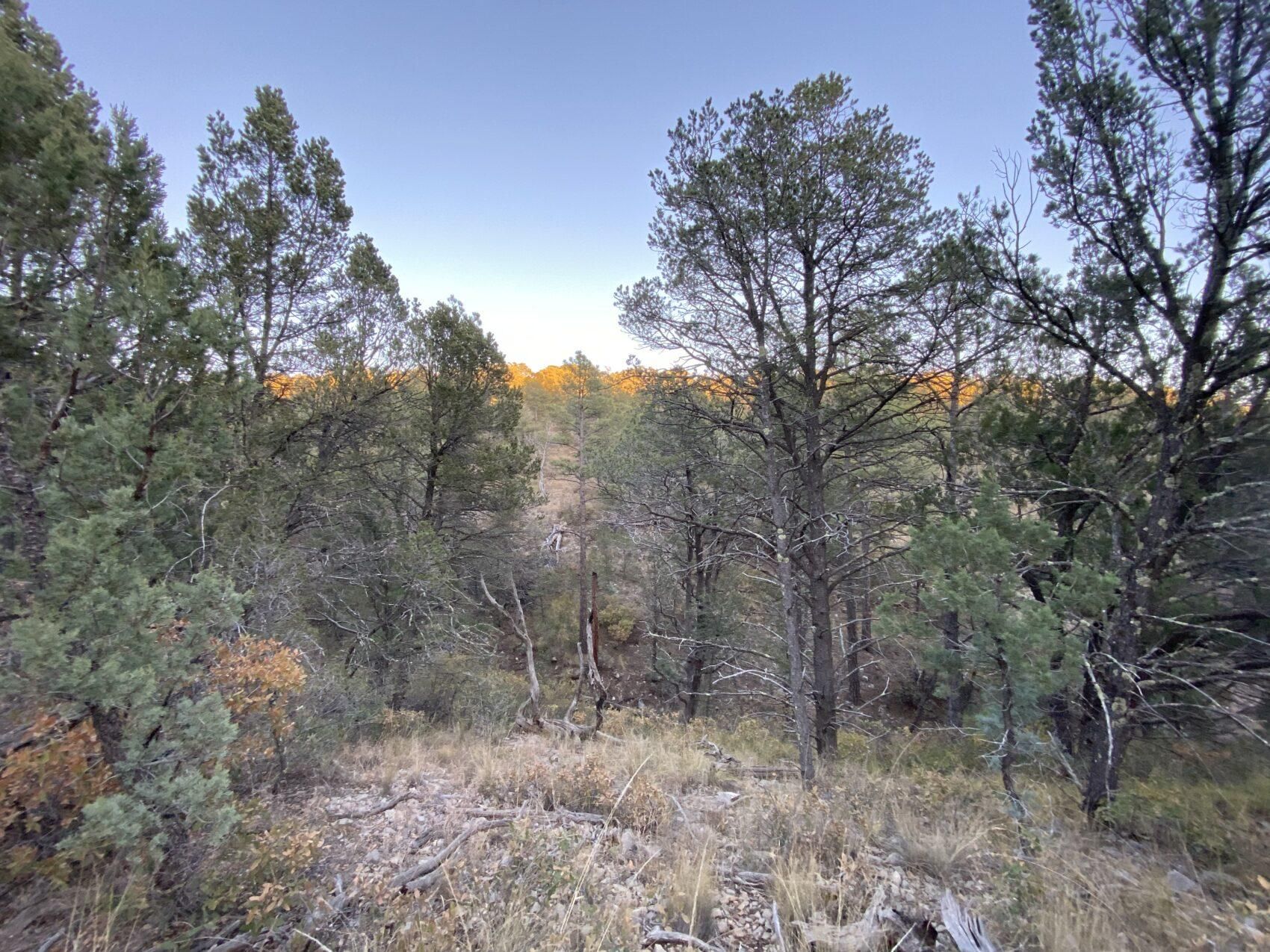 Timberon, Otero County, NM Recreational Property, Homesites for sale