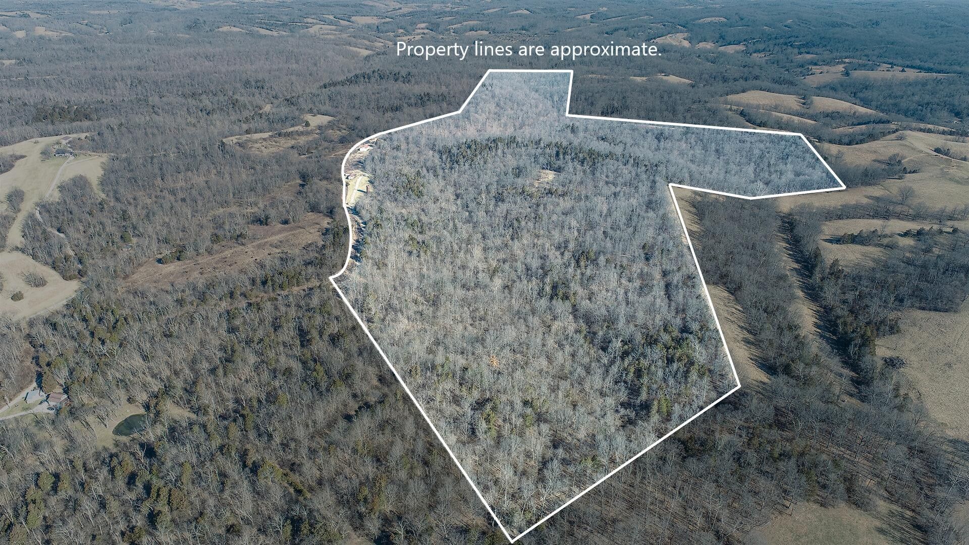 Cynthiana, Nicholas County, KY Farms and Ranches for sale Property ID