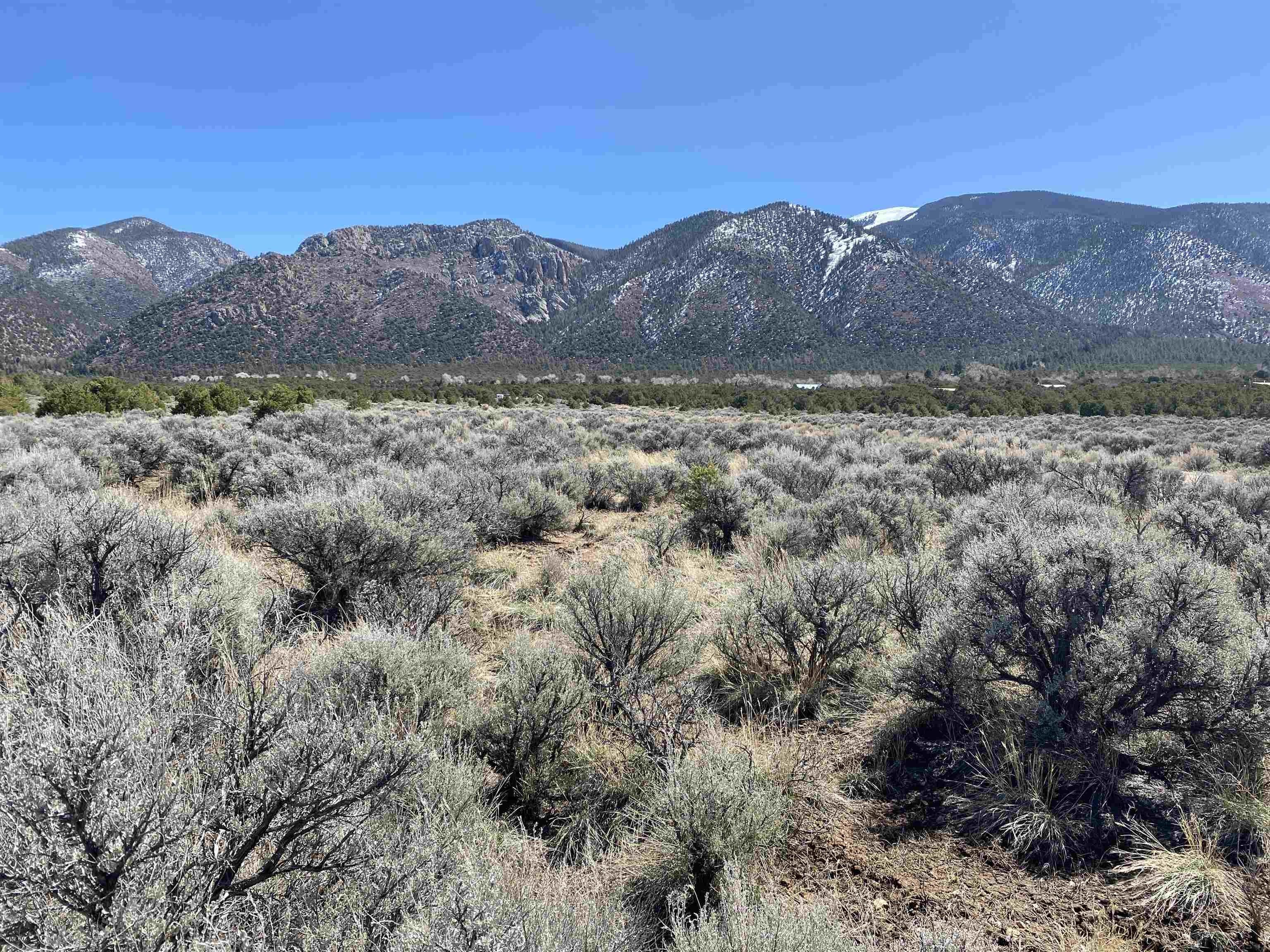 Questa, Taos County, NM Undeveloped Land for sale Property ID