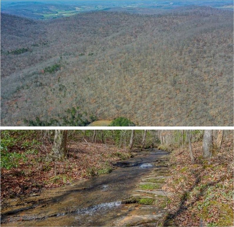 Livingston, Overton County, TN Undeveloped Land for sale Property ID