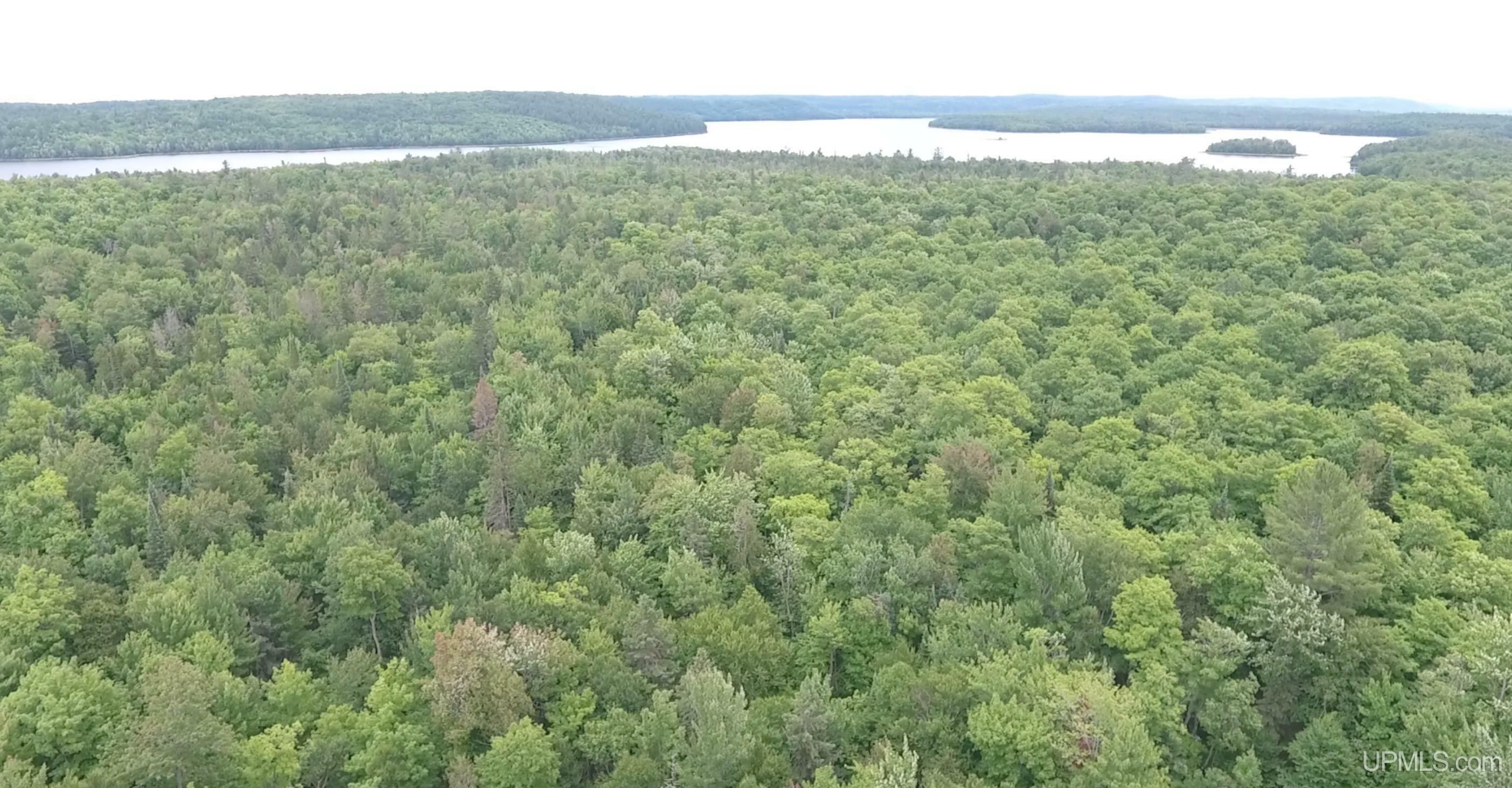 Champion, Marquette County, MI Undeveloped Land for sale Property ID