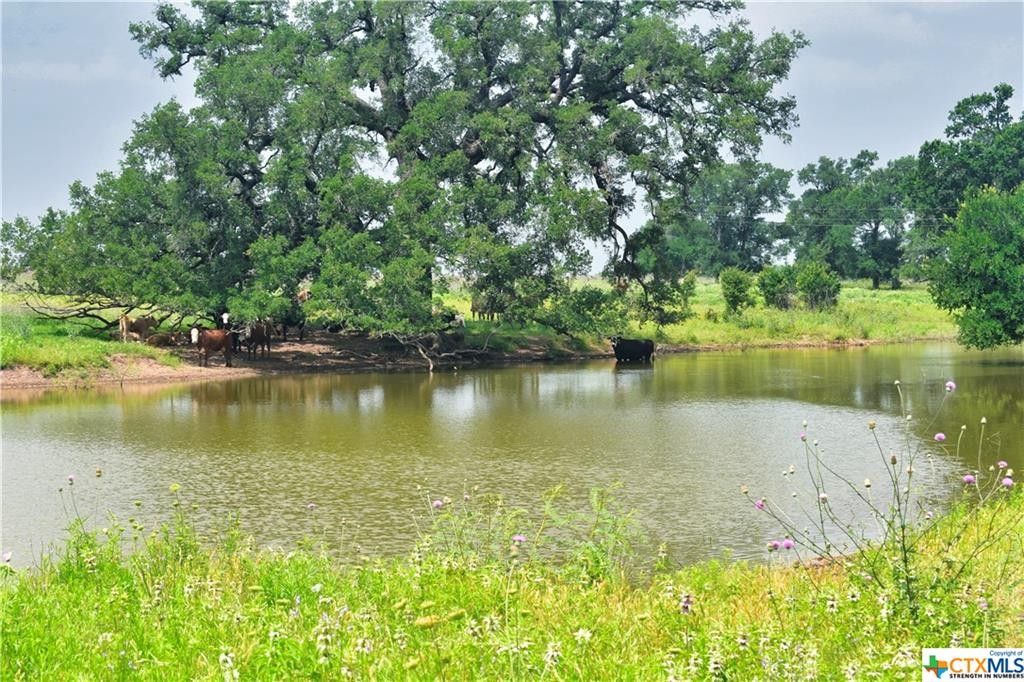 Kingsbury, Guadalupe County, TX Farms and Ranches for sale Property ID 419336271 LandWatch