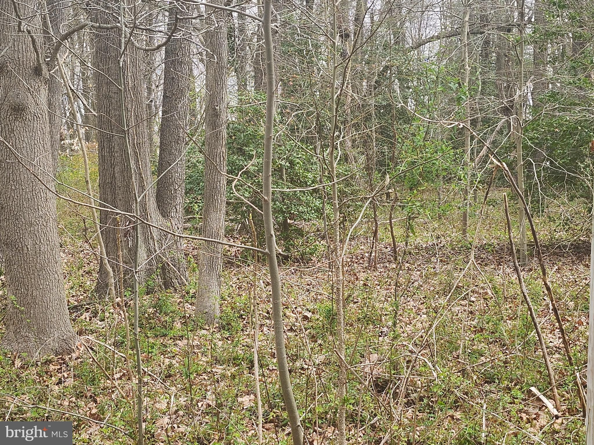 0.13 acres in Aquasco, MD, 20608 MLS MDPG2108288 LandWatch