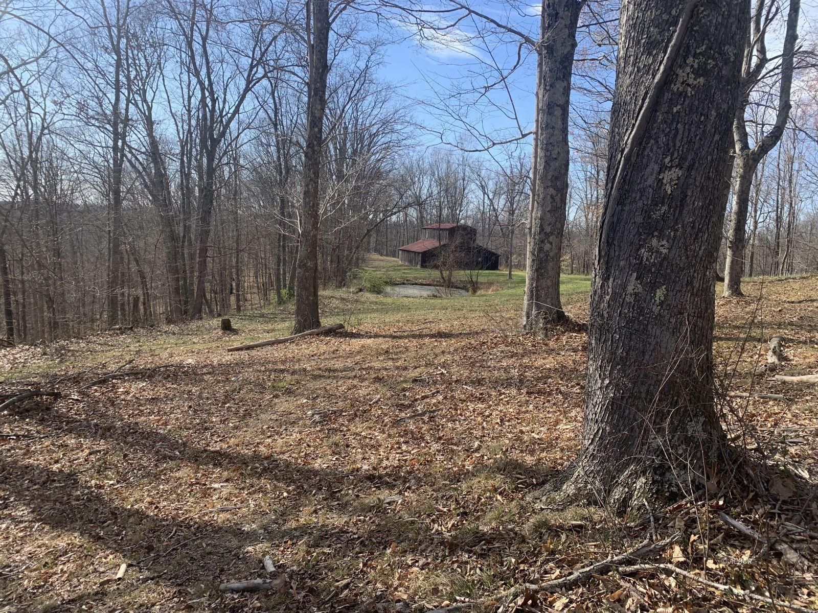 Proctorville, Lawrence County, OH Undeveloped Land, Hunting Property