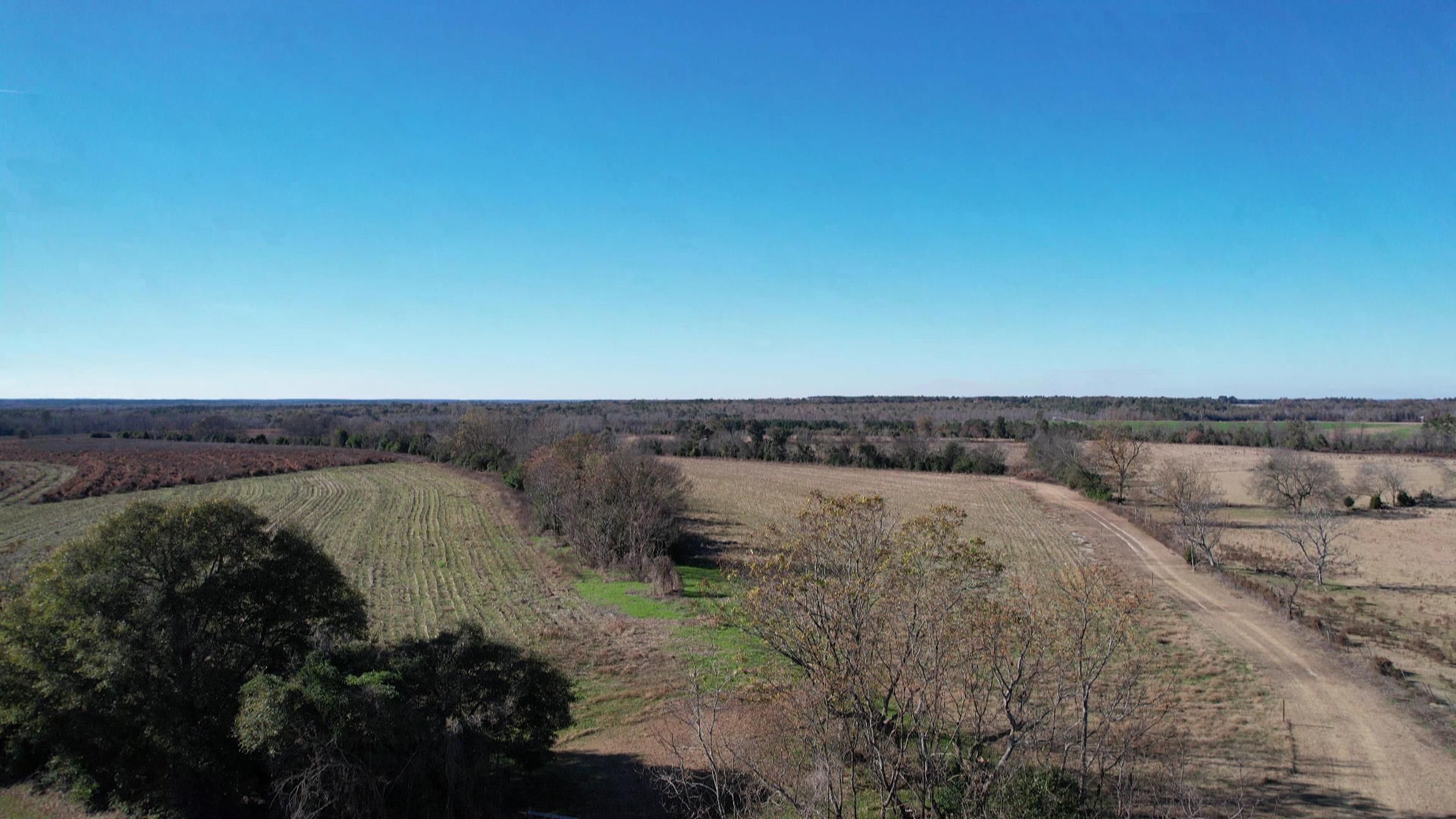 Claxton Road, Girard, GA 30426 MLS 959 LandWatch