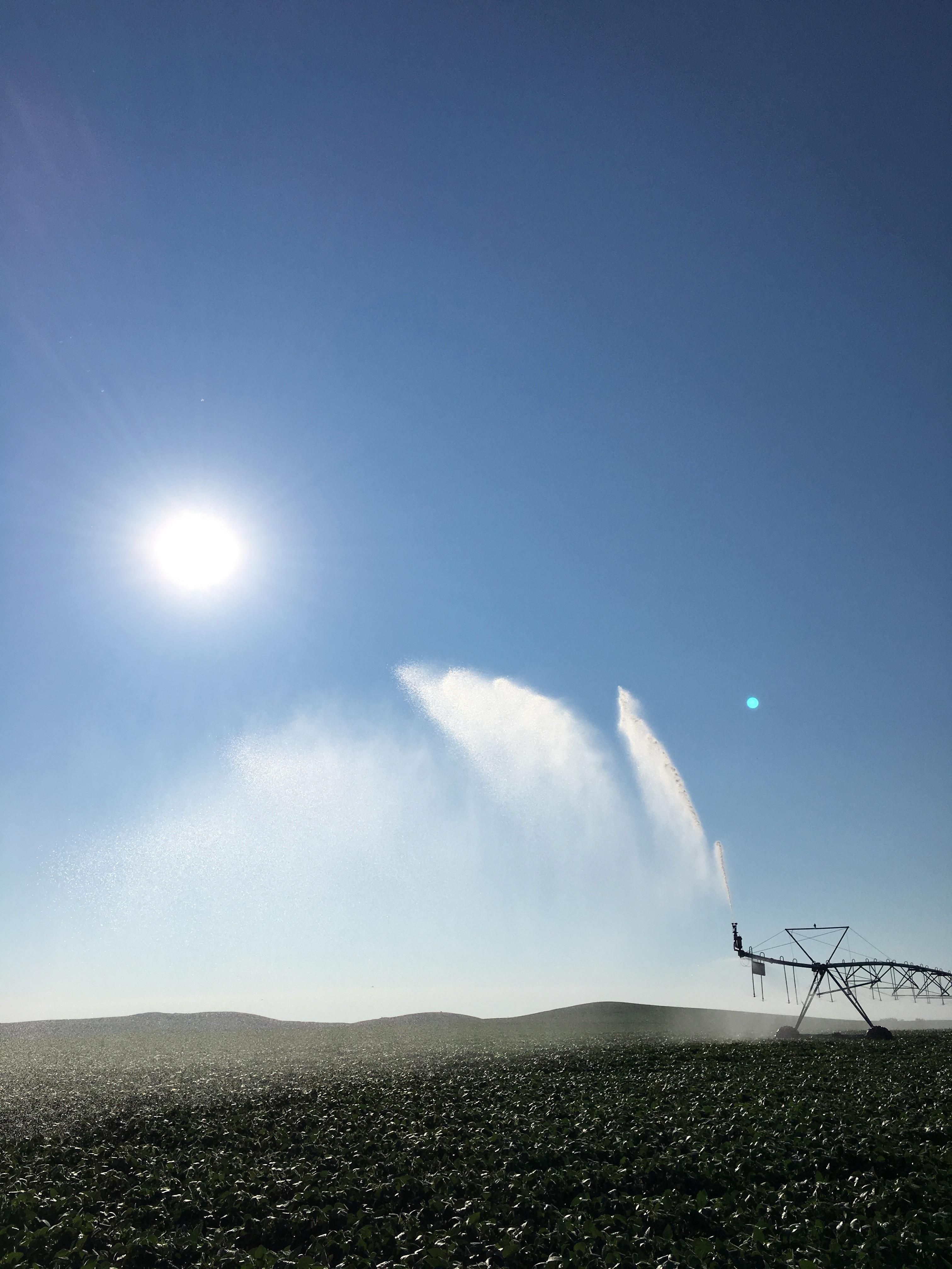 6633 North Dakota 1804, Hazelton, ND 58544 MLS 4012379 LandWatch