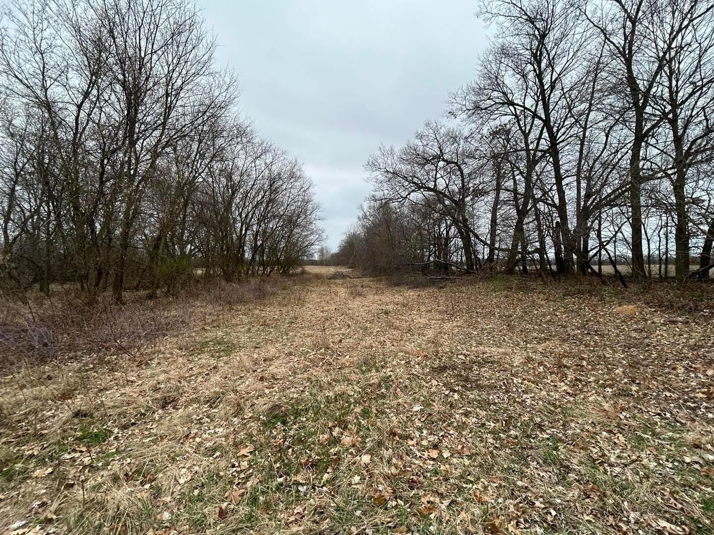 West Mosherville Road, Litchfield, MI 49252 MLS 24015336 LandWatch