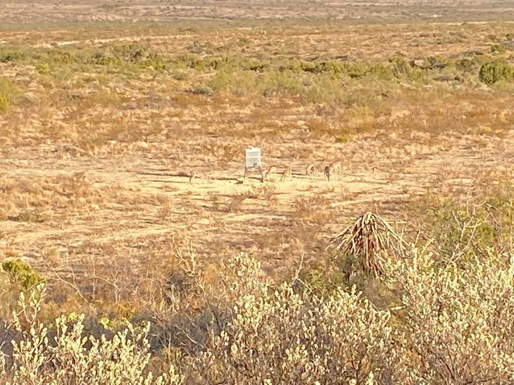 223.76 acres in Langtry, TX, 78871 LandWatch