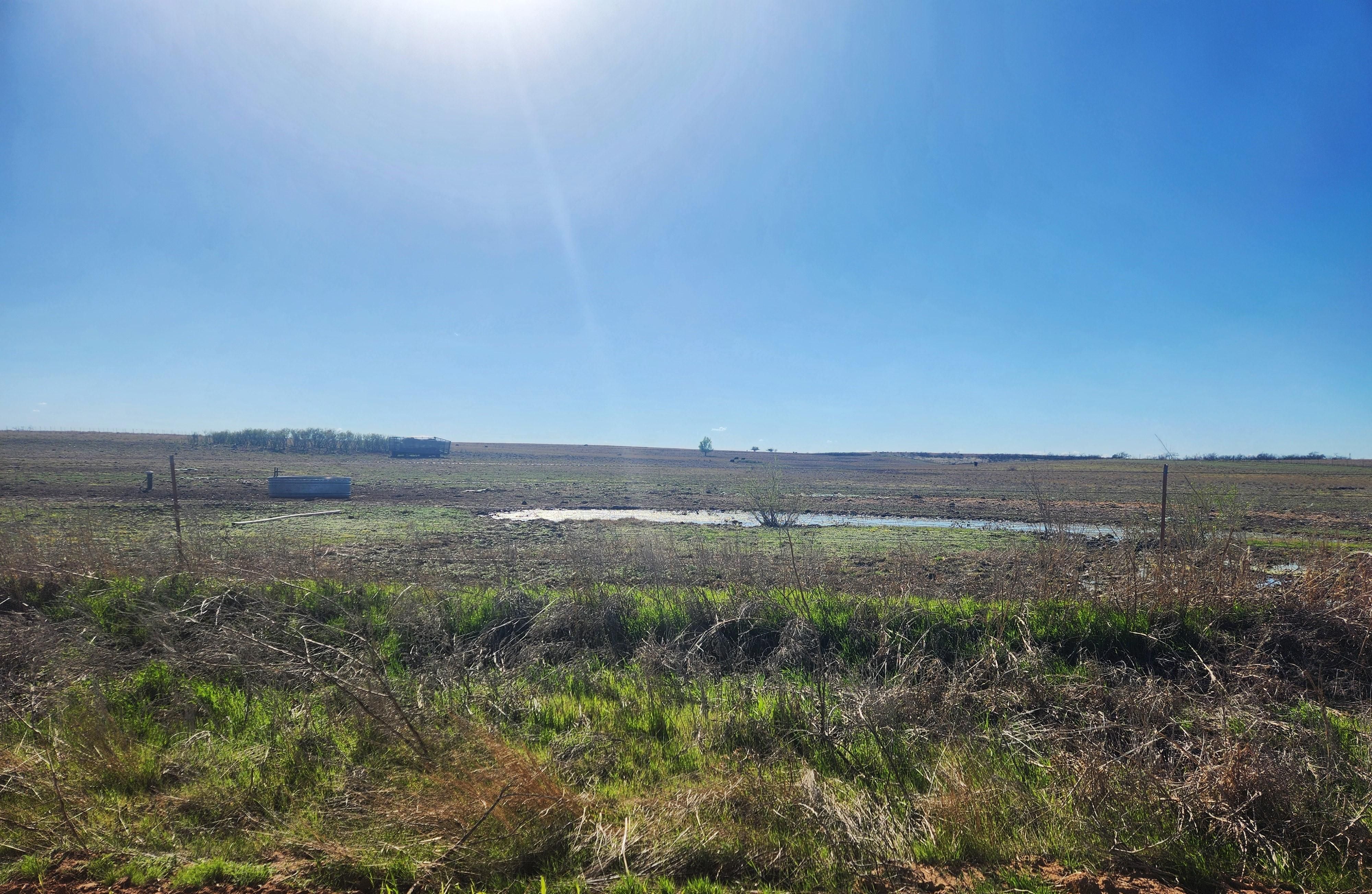 Lelia Lake, Donley County, TX Farms and Ranches for sale Property ID