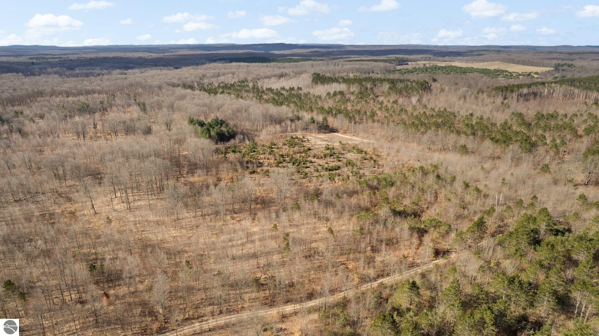 Beulah, Benzie County, MI Undeveloped Land for sale Property ID