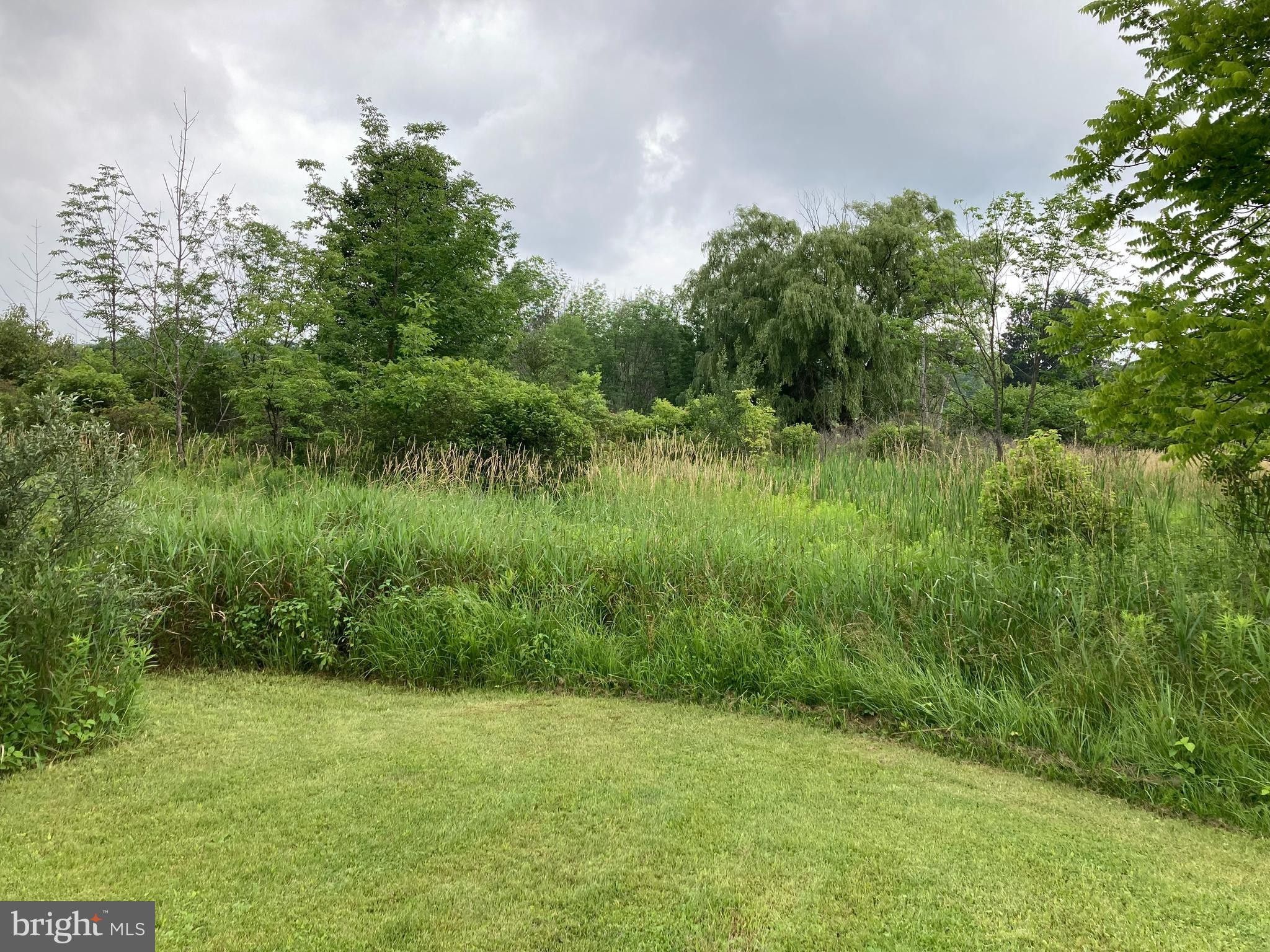 Woodland, Clearfield County, PA Undeveloped Land for sale Property ID