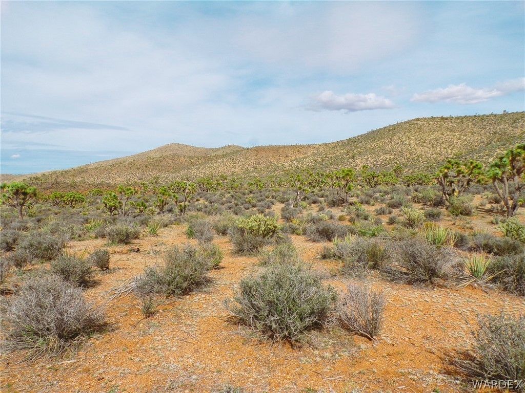 White Hills, Mohave County, AZ Farms and Ranches for sale Property ID