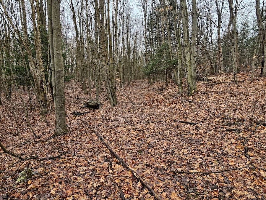 Edmeston, Otsego County, NY Recreational Property, Undeveloped Land for