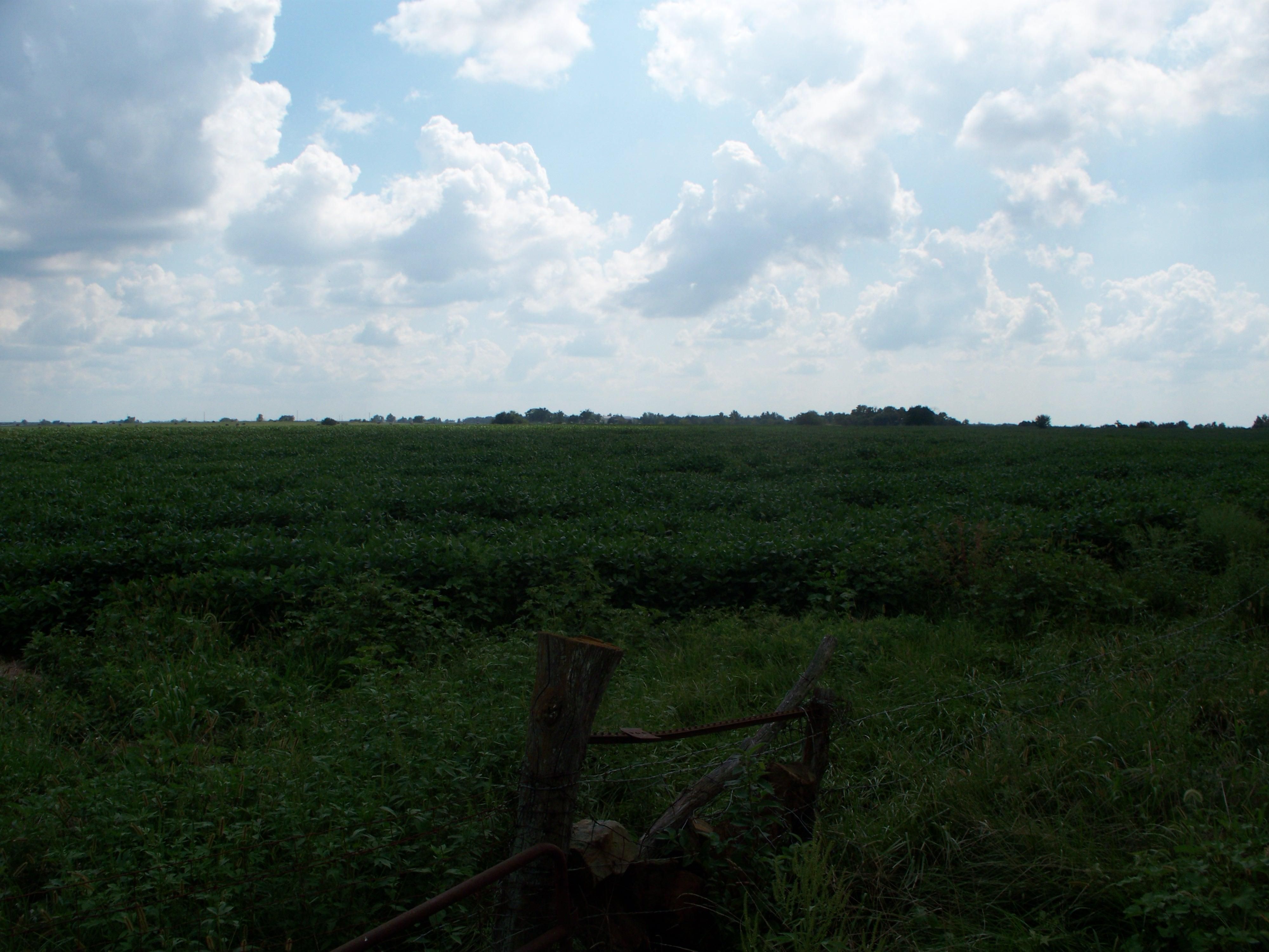 28714 S Nn Hwy, Sheldon, MO 64784 LandWatch