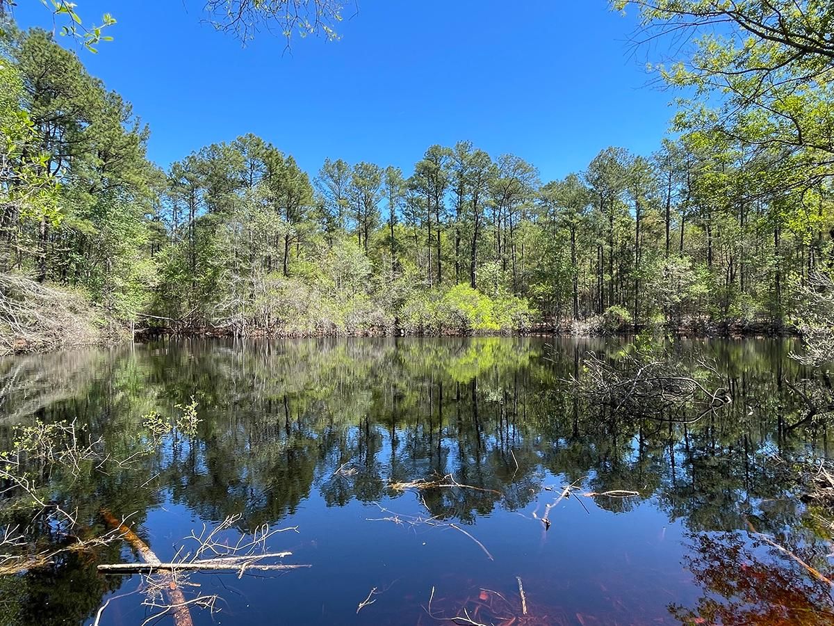 Dutch Ford Road, Metter, GA 30439 LandWatch