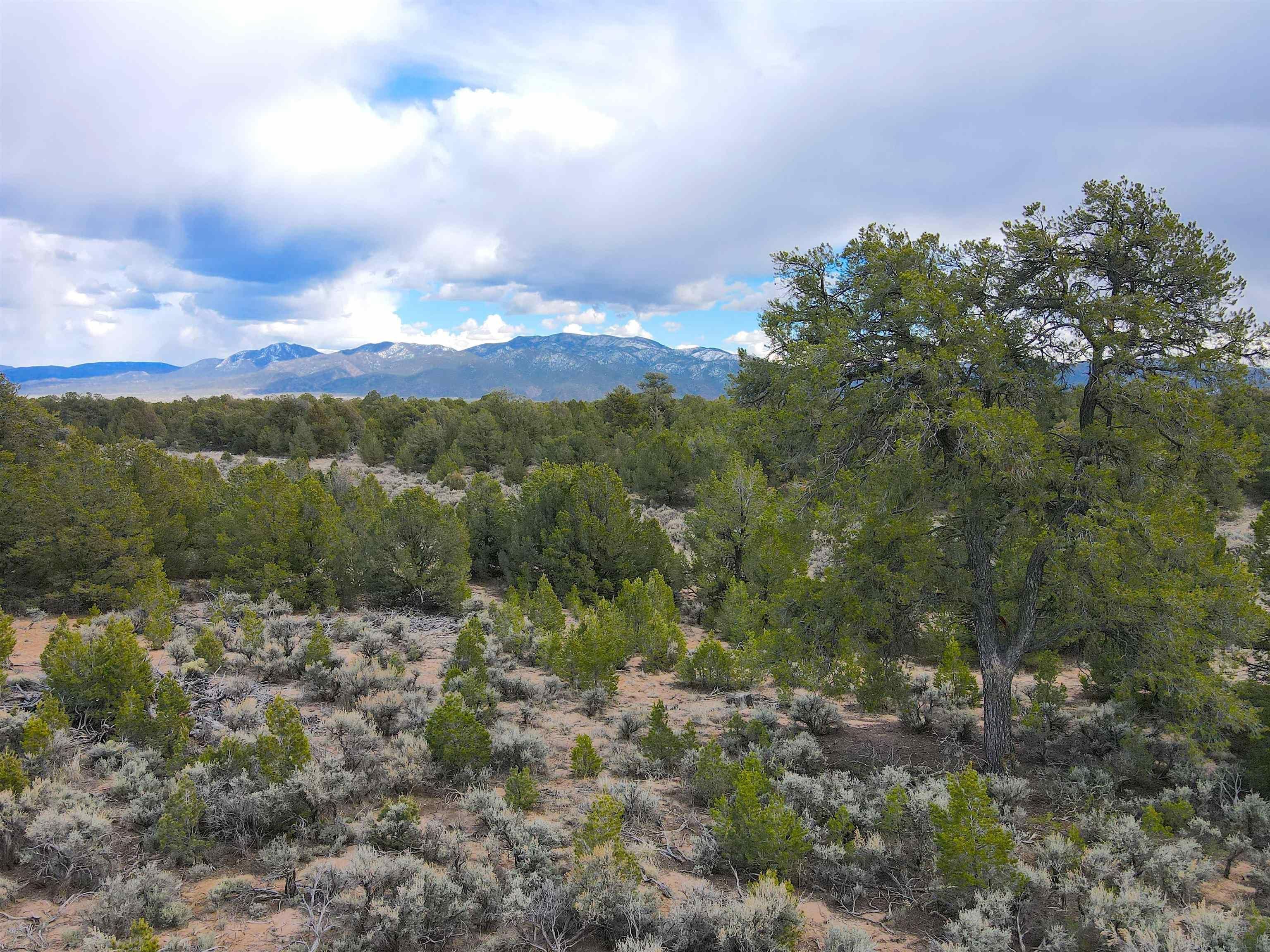 Carson, Taos County, NM for sale Property ID 419355899 LandWatch