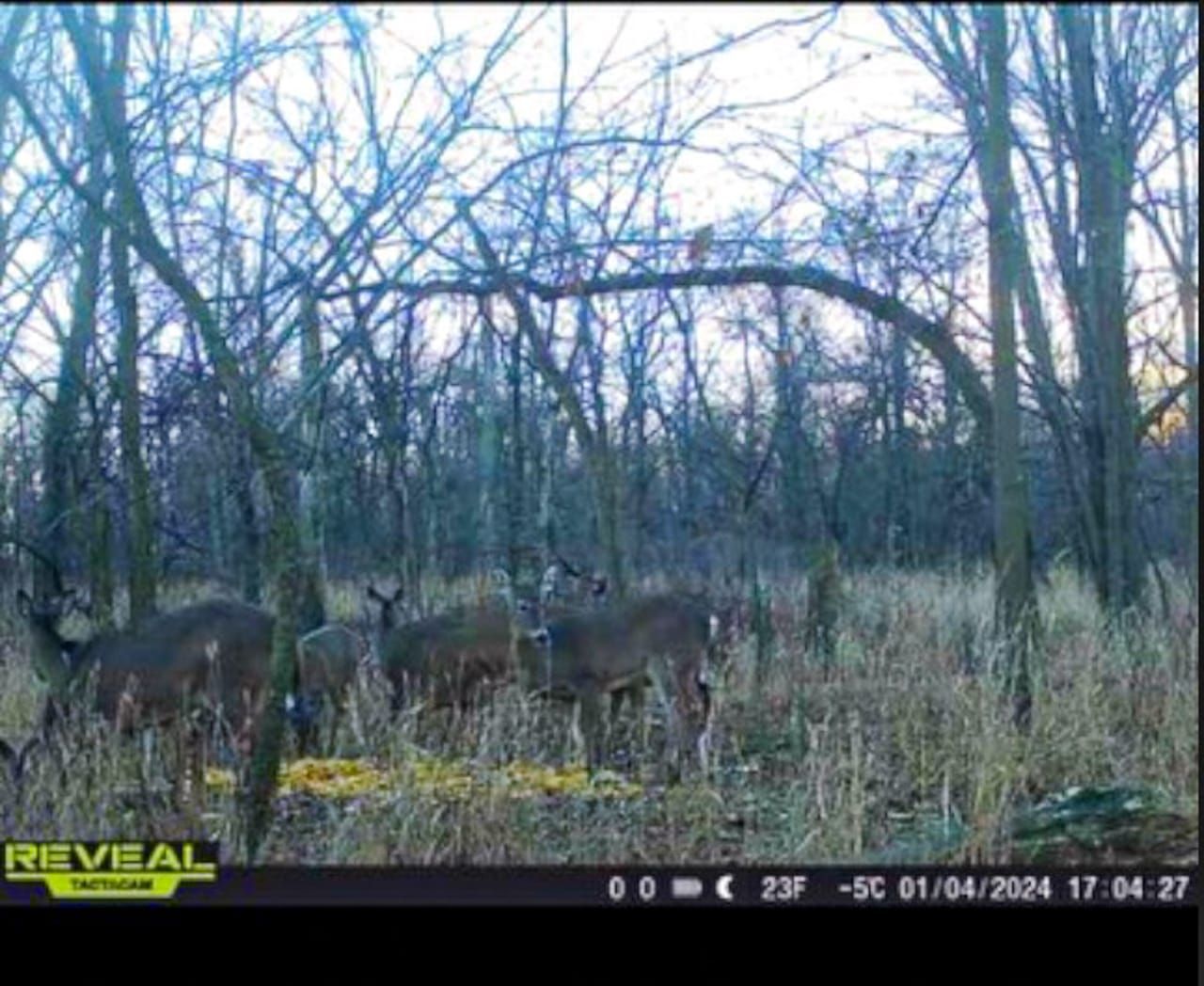 Road 7, Payne, OH 45880 LandWatch